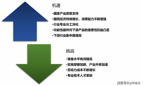 电子产品精密功能性器件行业趋势及重点企业分析 附报告目录